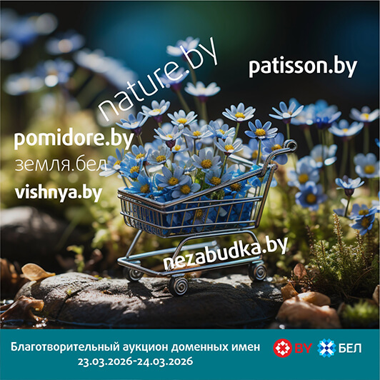 PATISSON.BY и ГРЯДКИ-НА-ДАЧЕ.БЕЛ никого не оставят равнодушными: в понедельник стартует благотворительный аукцион доменных имен