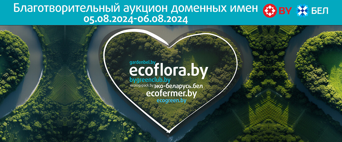 aukcion_05_08_2024
