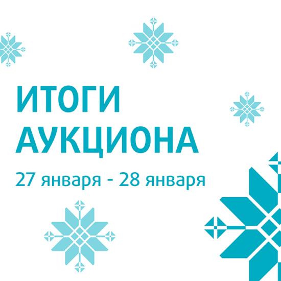 Первый благотворительный аукцион доменных имен в 2025 году завершен