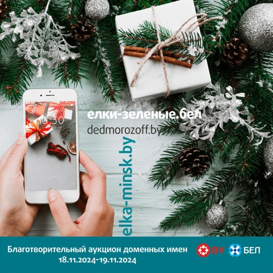Начинаем подготовку к Новому году с доменами dedmorozoff.by, elka-minsk.by и елки-зеленые.бел