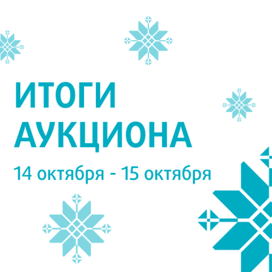 Подводим итоги прошедшего благотворительного аукциона