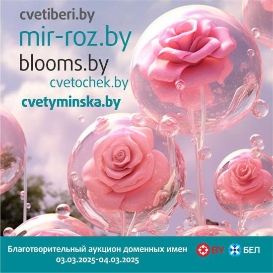 cvetochek.by и aqualife.by. Какие еще домены ожидать на аукционе?