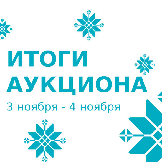 Messages.by, zorro.by, родник.бел: рассказываем, как прошел благотворительный аукцион доменных имен