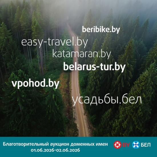 Отправляемся VPOHOD.BY! Спешим на благотворительный аукцион доменных имен уже 1 июня